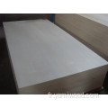 15 mm 18 mm blanc EV Eucalyptus Core Plywood